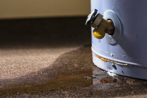 Best Residential water damage restoration  in Ashland, IL