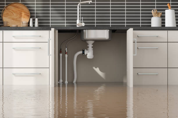 Best Fire Damage Restoration  in Ashland, IL