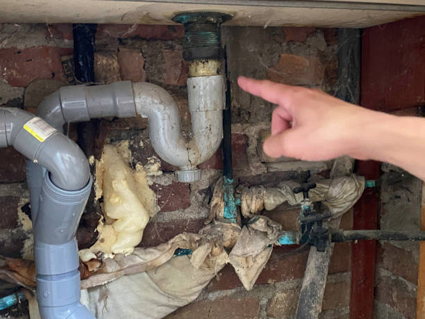 Best Commercial water damage restoration  in Ashland, IL